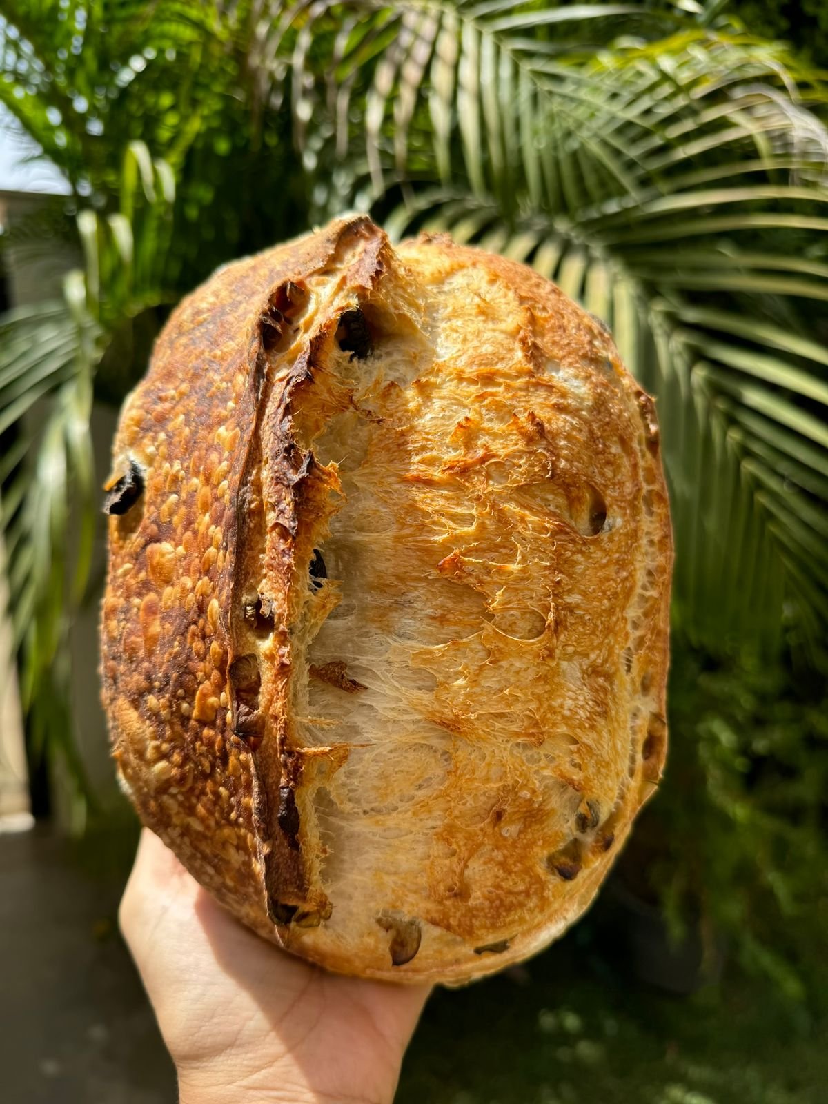Butter Croissant